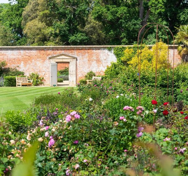 A Walled Garden full of flowers and plants, with a door in the wall leading to another area.