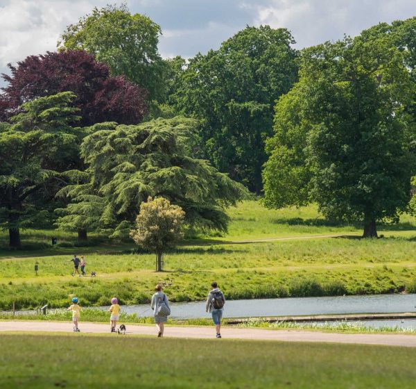A family and their dog walk by Holkham Lake in Holkham Park, full of trees and grass.